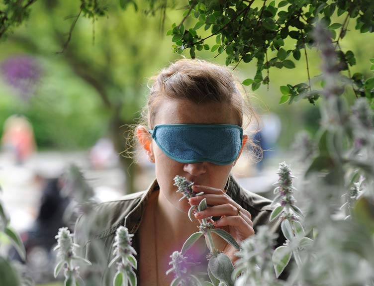 Come to your Senses RCSI course Come to your Senses RCSI course