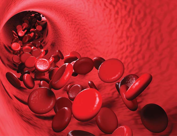 blood blood
