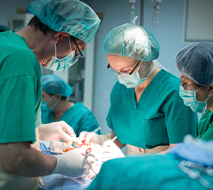 Medics at work in the operating theatre.